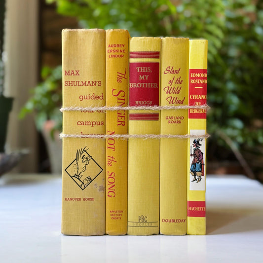 Decorative Vintage Red and Yellow Book Set for Shelf Styling