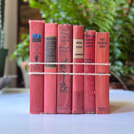 Red Vintage Children's Classic Shabby Book Bundle for Shelf Styling