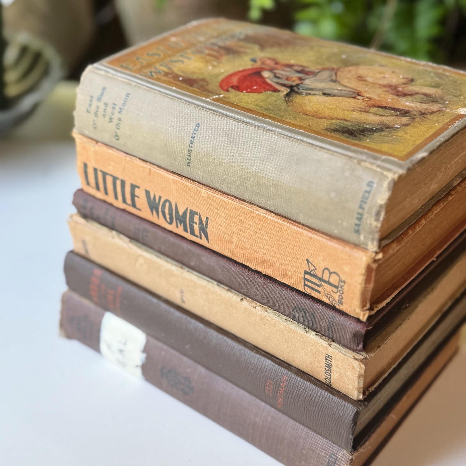 Antique Beige and Brown Children's Book Bundle, Little Women, Heidi, Girls Stories