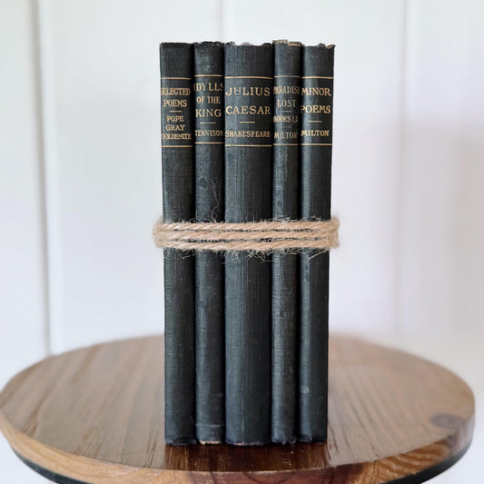 Antique Blue School Book Bundle, Classic Literature and Poetry Academy Classics