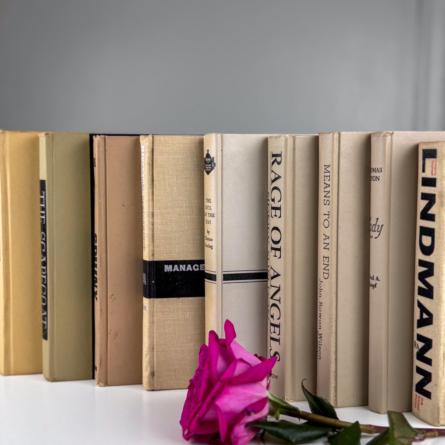 Neutral Vintage Book Stack | Black, Tan & Cream Decorative Books for Shelf Styling or Modern Decor