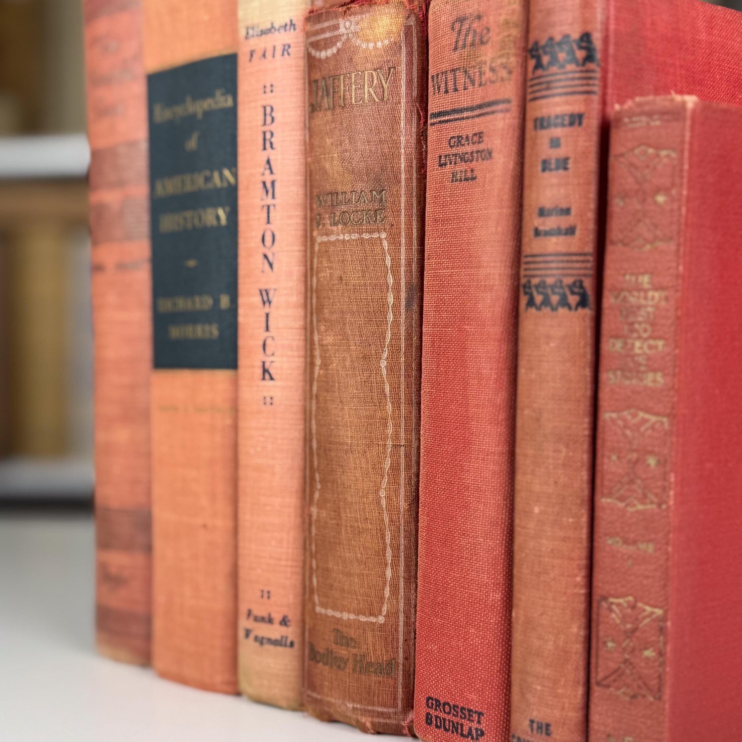 Warm Rustic Red and Pink Vintage Book Set – Shelf Styling with Cottagecore Charm