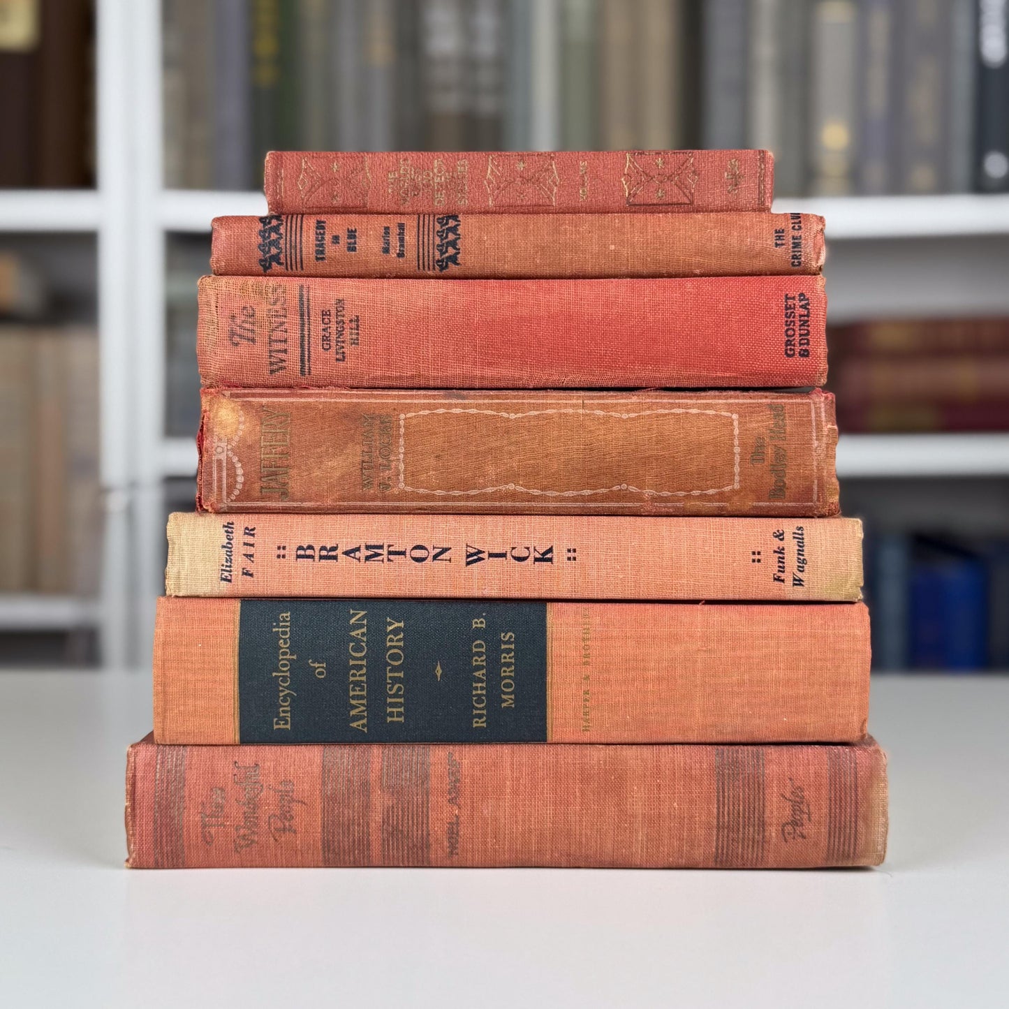 Warm Rustic Red and Pink Vintage Book Set – Shelf Styling with Cottagecore Charm