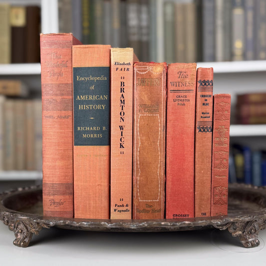 Warm Rustic Red and Pink Vintage Book Set – Shelf Styling with Cottagecore Charm