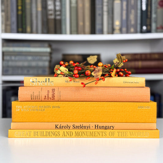 Golden Harvest Book Stack – Vintage Fall Tones for Shelf or Table Styling