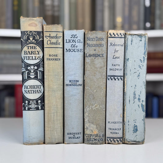 Dusty Blue & Gray Vintage Shabby Faded Book Bundle – Soft, Neutral Shelf Styling