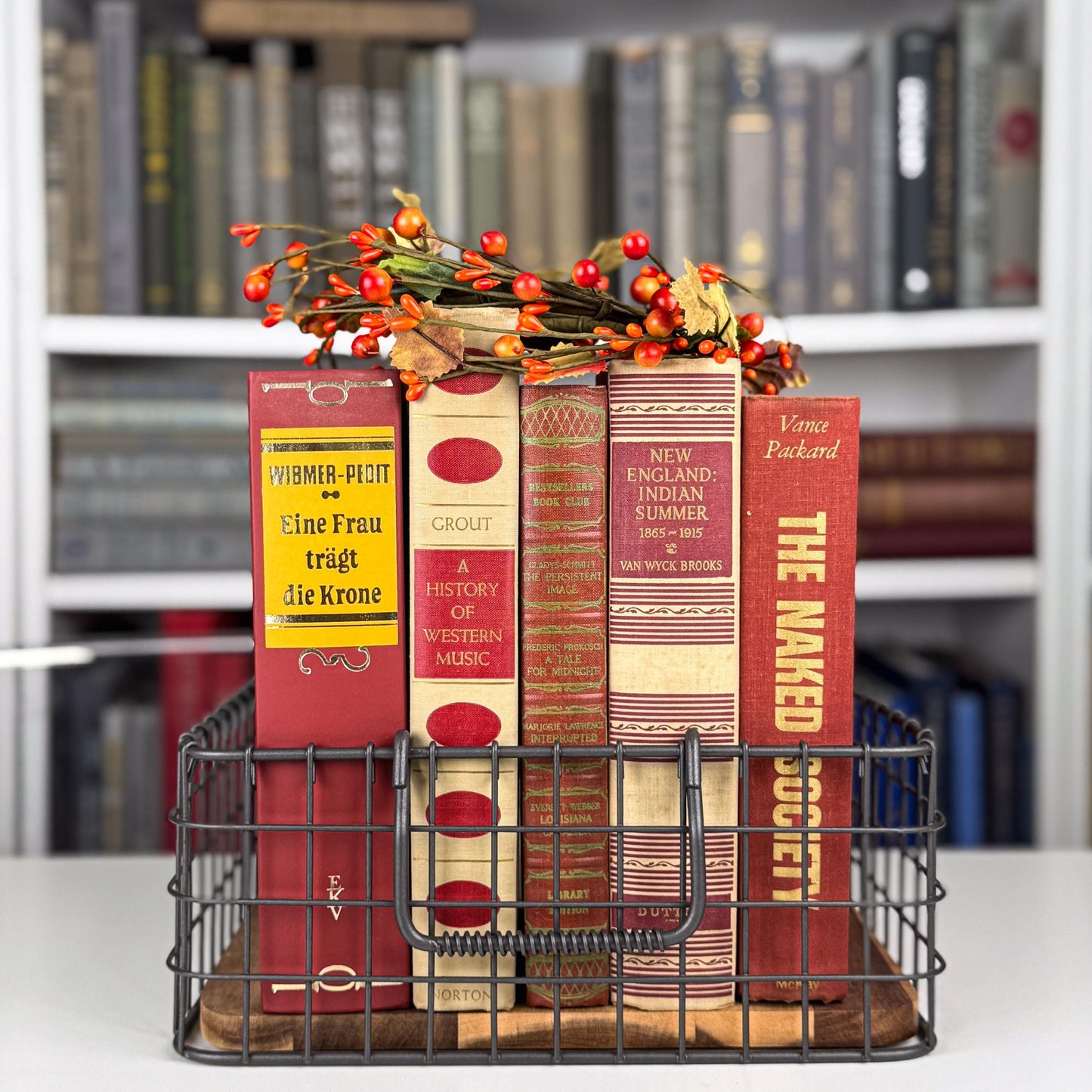 Bold Masculine Mid-Century Beige Mustard Red Book Bundle, Aesthetic Books By Color for Decor