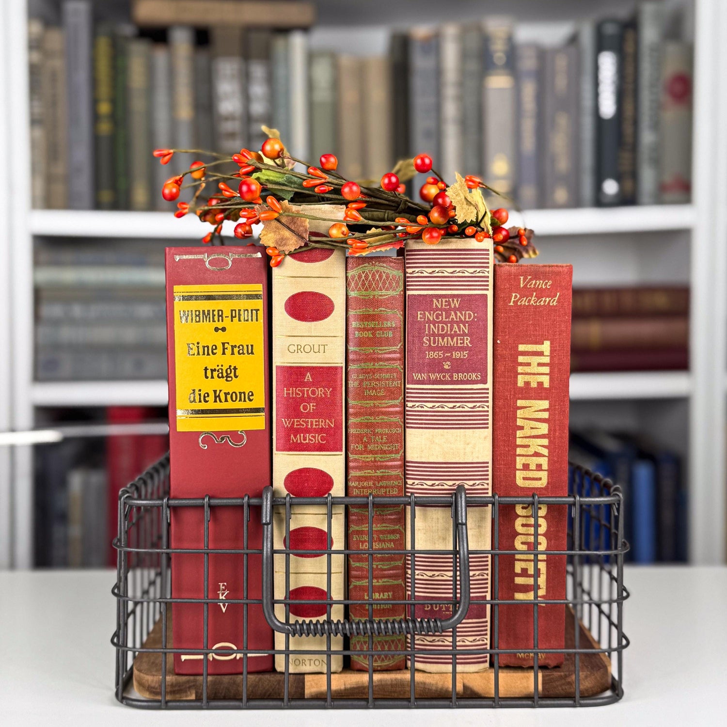 Bold Masculine Mid-Century Beige Mustard Red Book Bundle, Aesthetic Books By Color for Decor