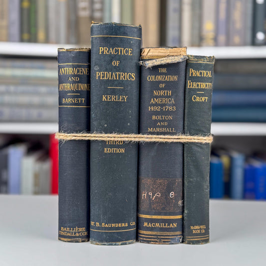 Antique Blue School Book Bundle, School Textbooks, Faded Shabby Books