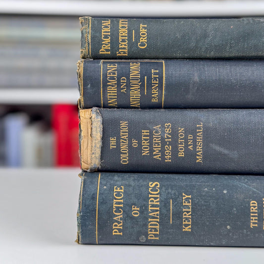 Antique Blue School Book Bundle, School Textbooks, Faded Shabby Books