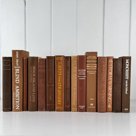 Vintage Brown Book Set, Autumn Rustic Bookshelf Decor, Shelf Styling Books by Color in Brown & Rust Tones