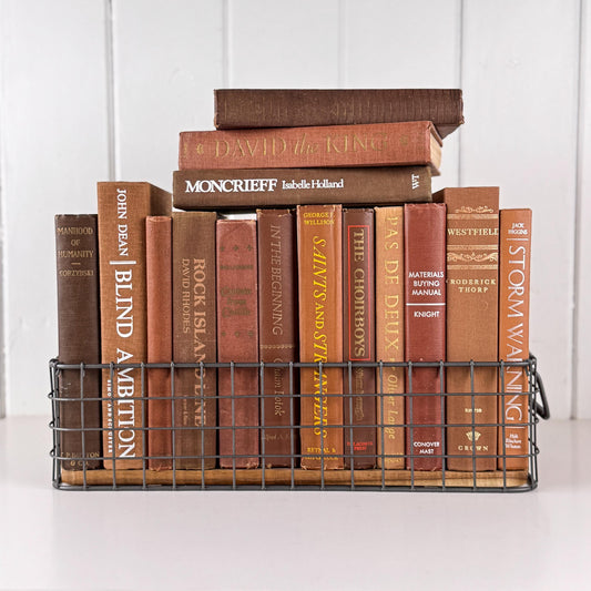 Vintage Brown Book Set, Autumn Rustic Bookshelf Decor, Shelf Styling Books by Color in Brown & Rust Tones