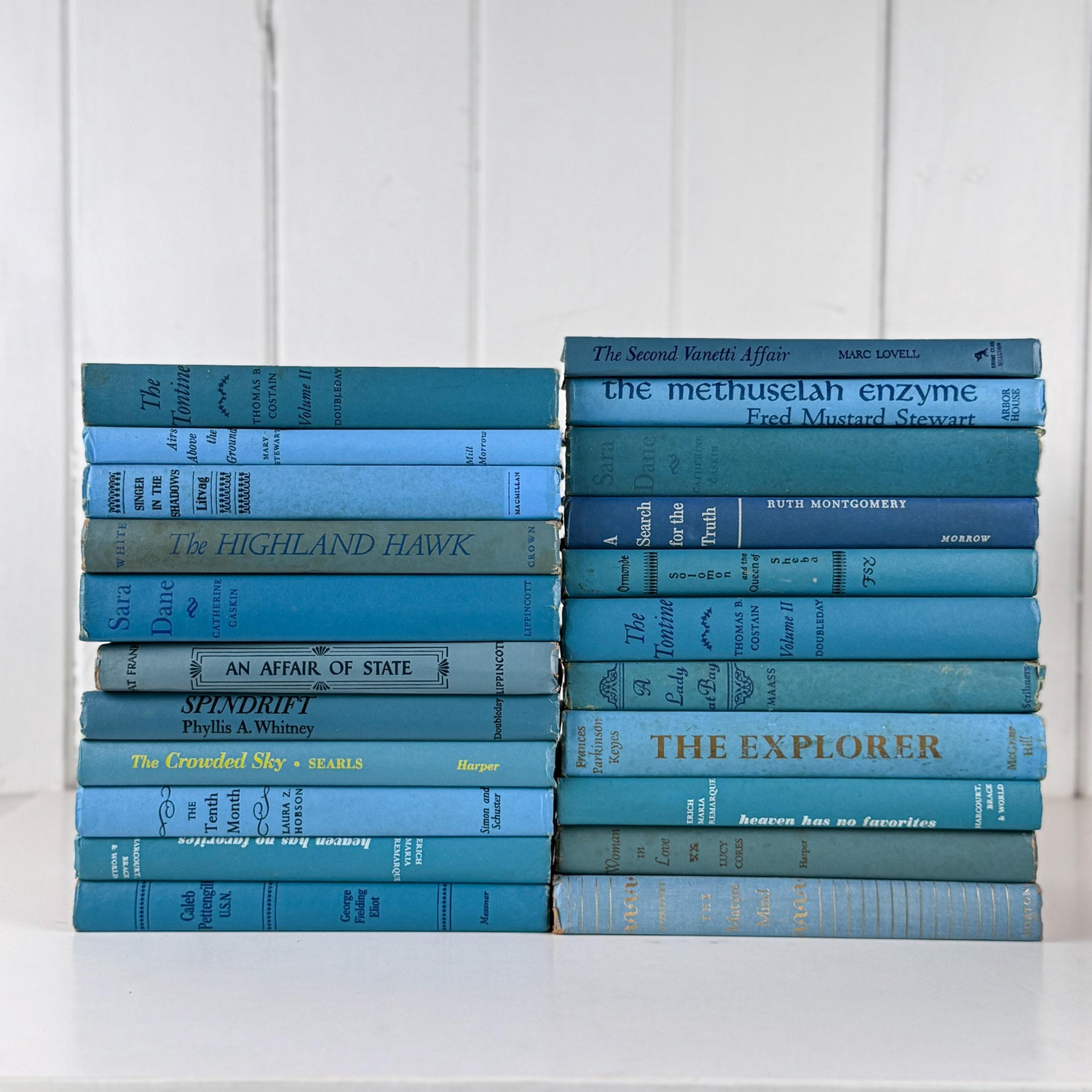 Retro Vintage Blue Book Set • Shelf Styling Books • 1960s Large Book Set by Color
