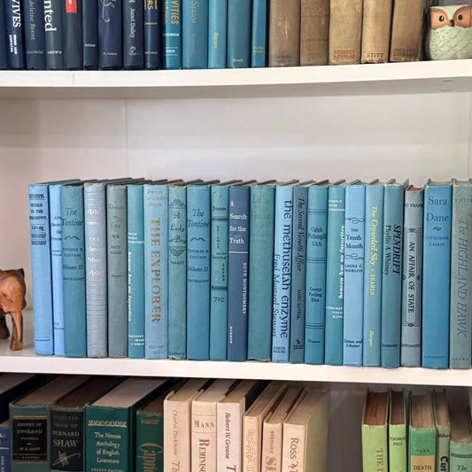 Retro Vintage Blue Book Set • Shelf Styling Books • 1960s Large Book Set by Color