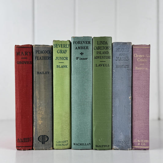 Antique Colorful Pastel Romance Book Bundle for Shelf Styling