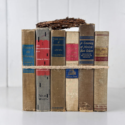 Rustic Masculine Beige and Tan Mid-Century Modern Book Set with Blue and Red Accents for Shelf Styling