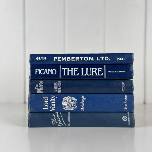 Vintage Indigo Navy Blue and White Retro Book Set for Shelf Styling