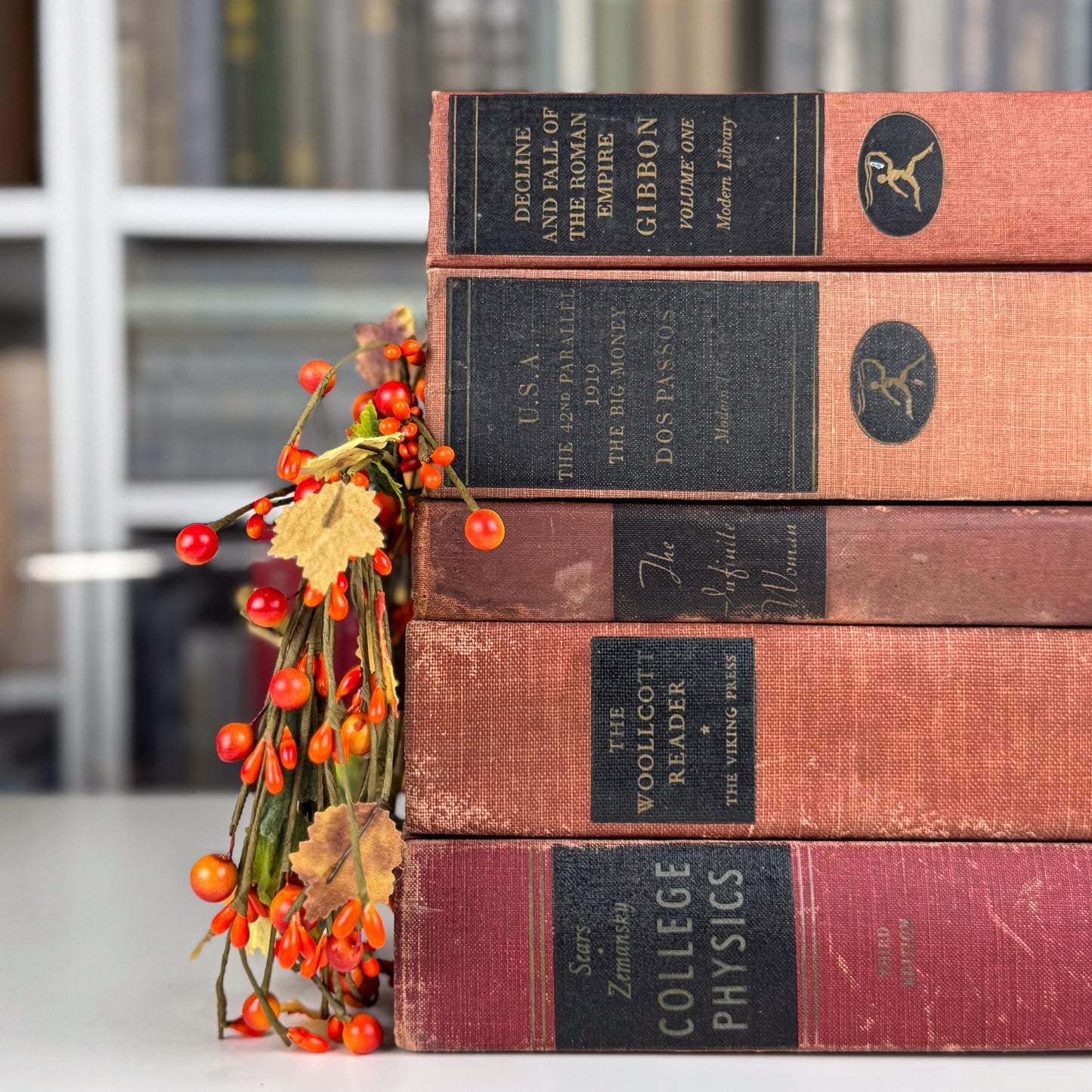 Rustic Red & Black Vintage Book Set for Shelf Styling