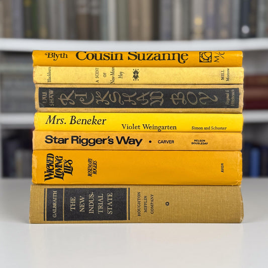 Sunny Yellow and Mustard Vintage Book Bundle – Bold, Retro, Happy Shelf Styling
