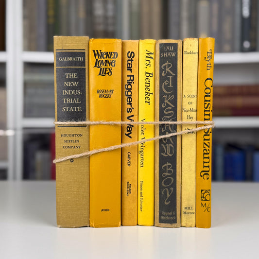 Sunny Yellow and Mustard Vintage Book Bundle – Bold, Retro, Happy Shelf Styling