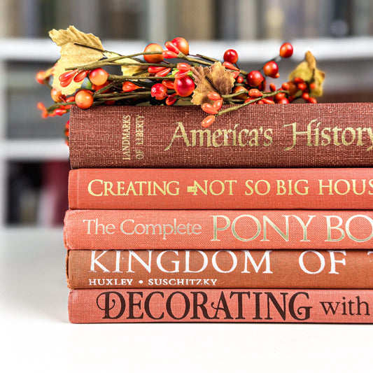 Terra Cotta Rust Red Decorative Vintage Coffee Table Book Set