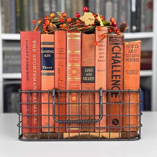 Burnt Orange & Rustic Red Vintage Book Set – Warm Shelf Styling for Cozy Interiors