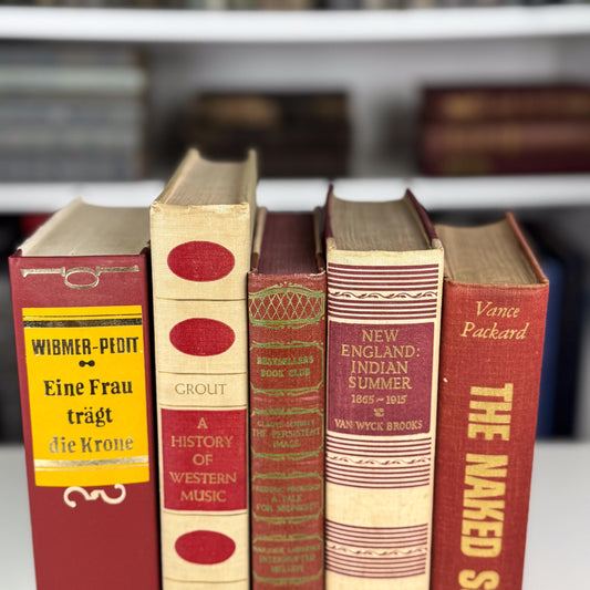 Bold Masculine Mid-Century Beige Mustard Red Book Bundle, Aesthetic Books By Color for Decor