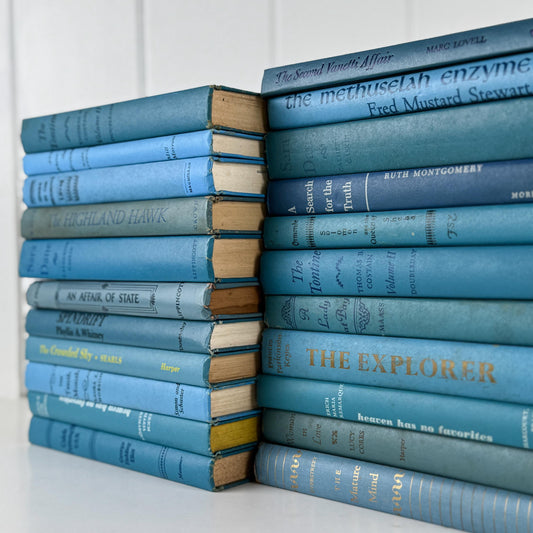 Retro Vintage Blue Book Set • Shelf Styling Books • 1960s Large Book Set by Color