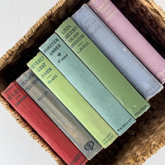 Antique Colorful Pastel Romance Book Bundle for Shelf Styling
