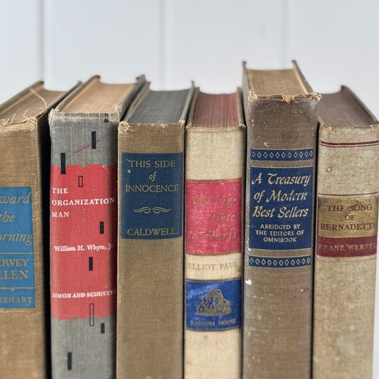 Rustic Masculine Beige and Tan Mid-Century Modern Book Set with Blue and Red Accents for Shelf Styling