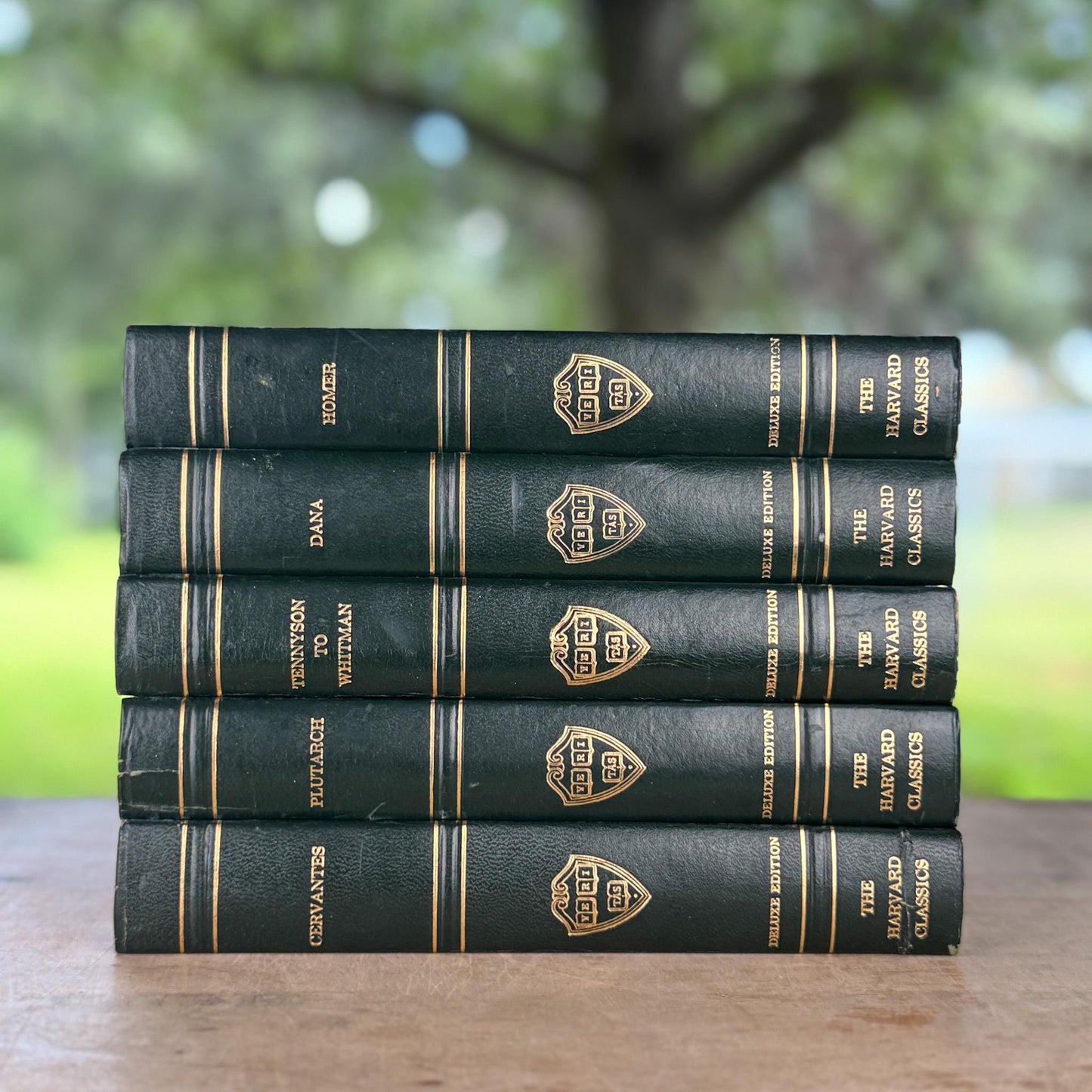 The Harvard Classics, Bookshelf Decor, Green Vintage Decorative Books For Home Decor