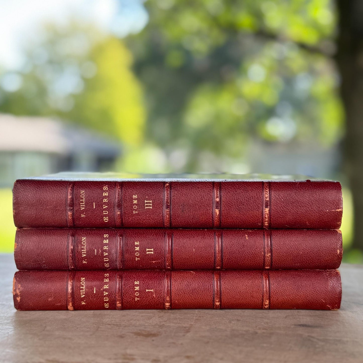 Antique Red Leather-Bound Books, Francois Villon Oeuvres, 3 Volumes (1,2,3), 1923