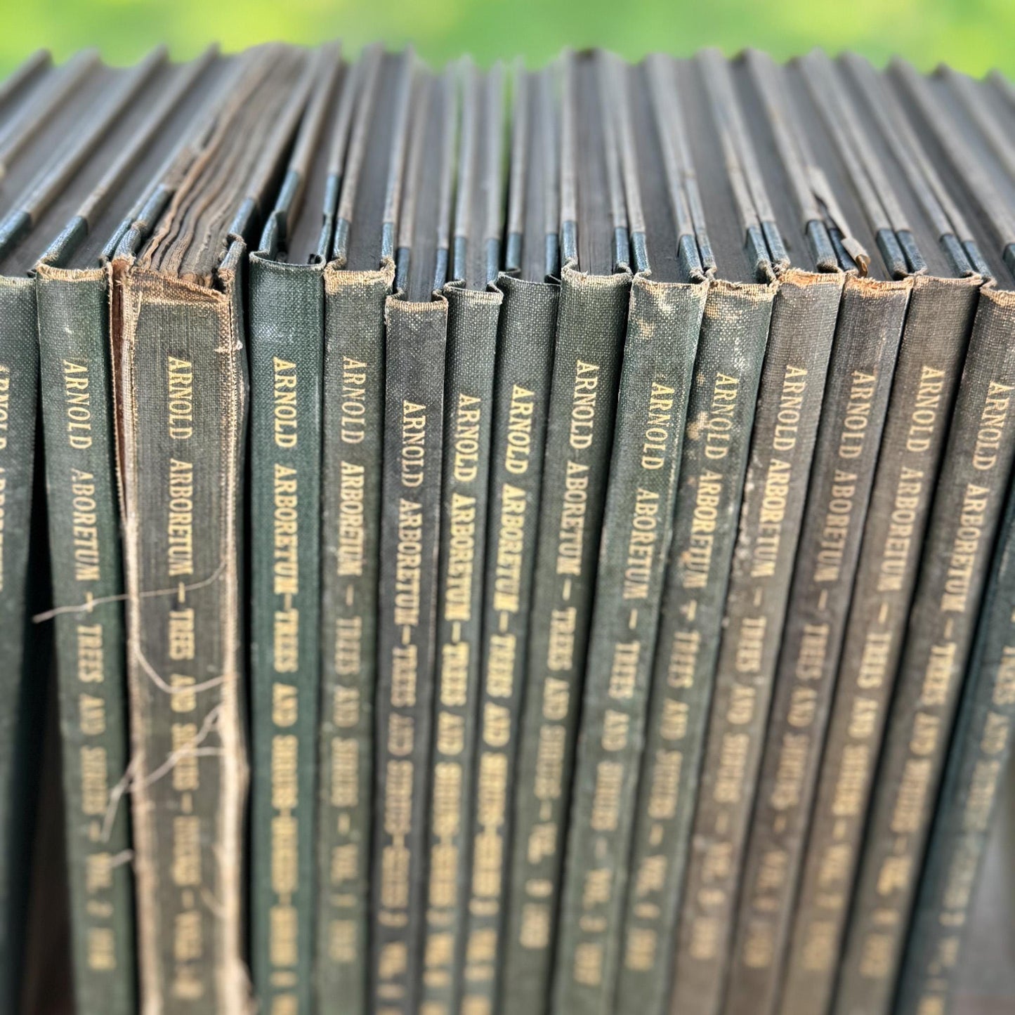 Arnold Arboretum, Harvard University 21 volumes