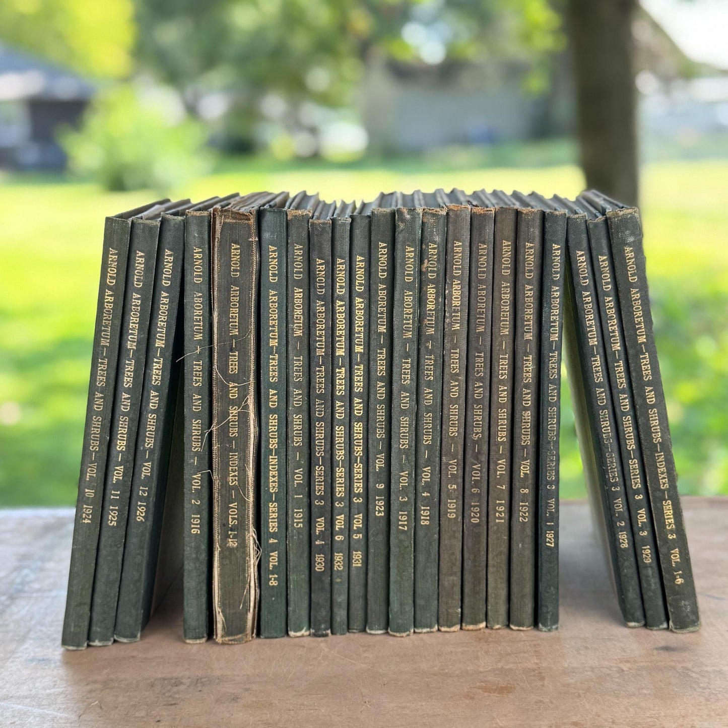 Arnold Arboretum, Harvard University 21 volumes