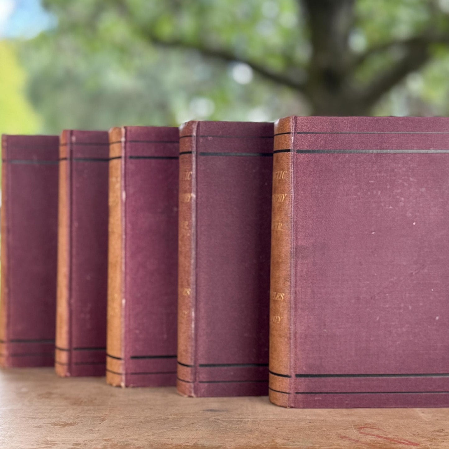 Antique Neutral Academic Books, Spencer's Synthetic Philosophy, 1882
