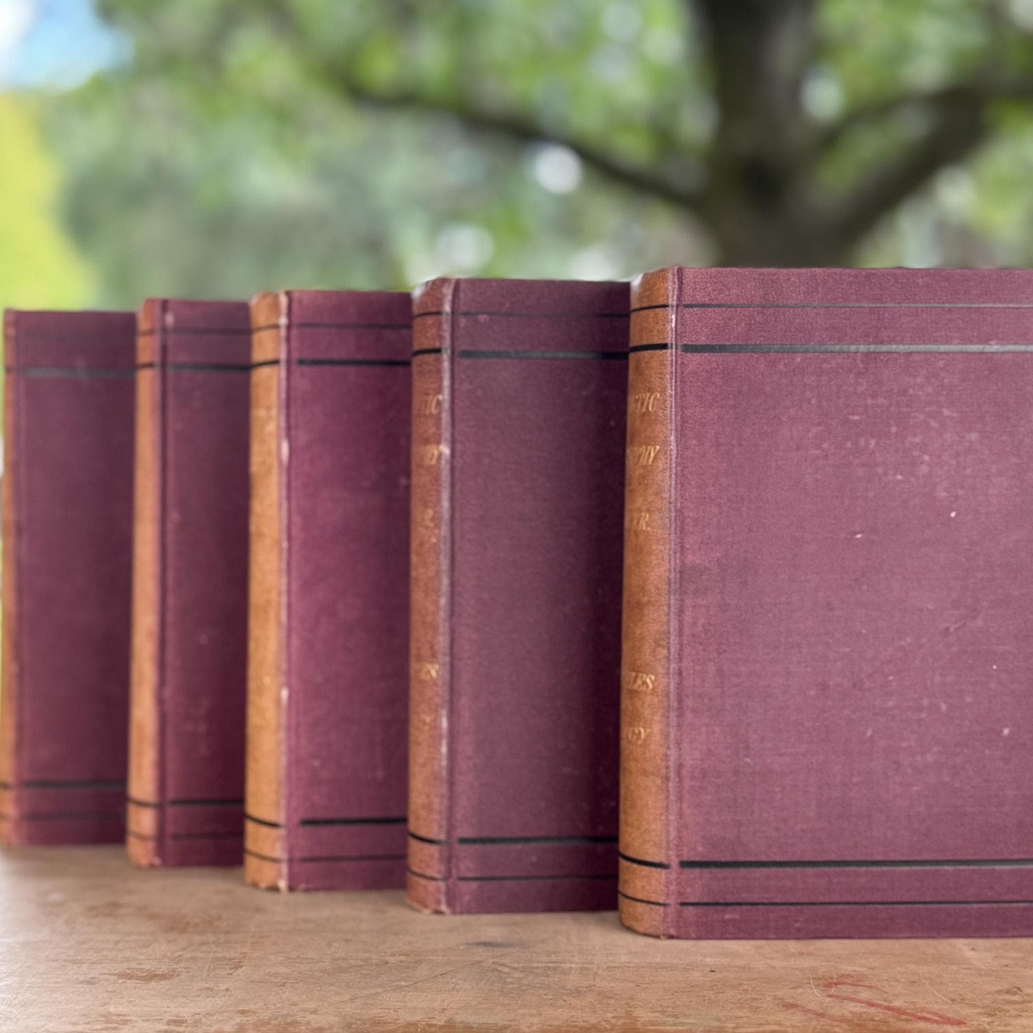 Antique Neutral Academic Books, Spencer's Synthetic Philosophy, 1882