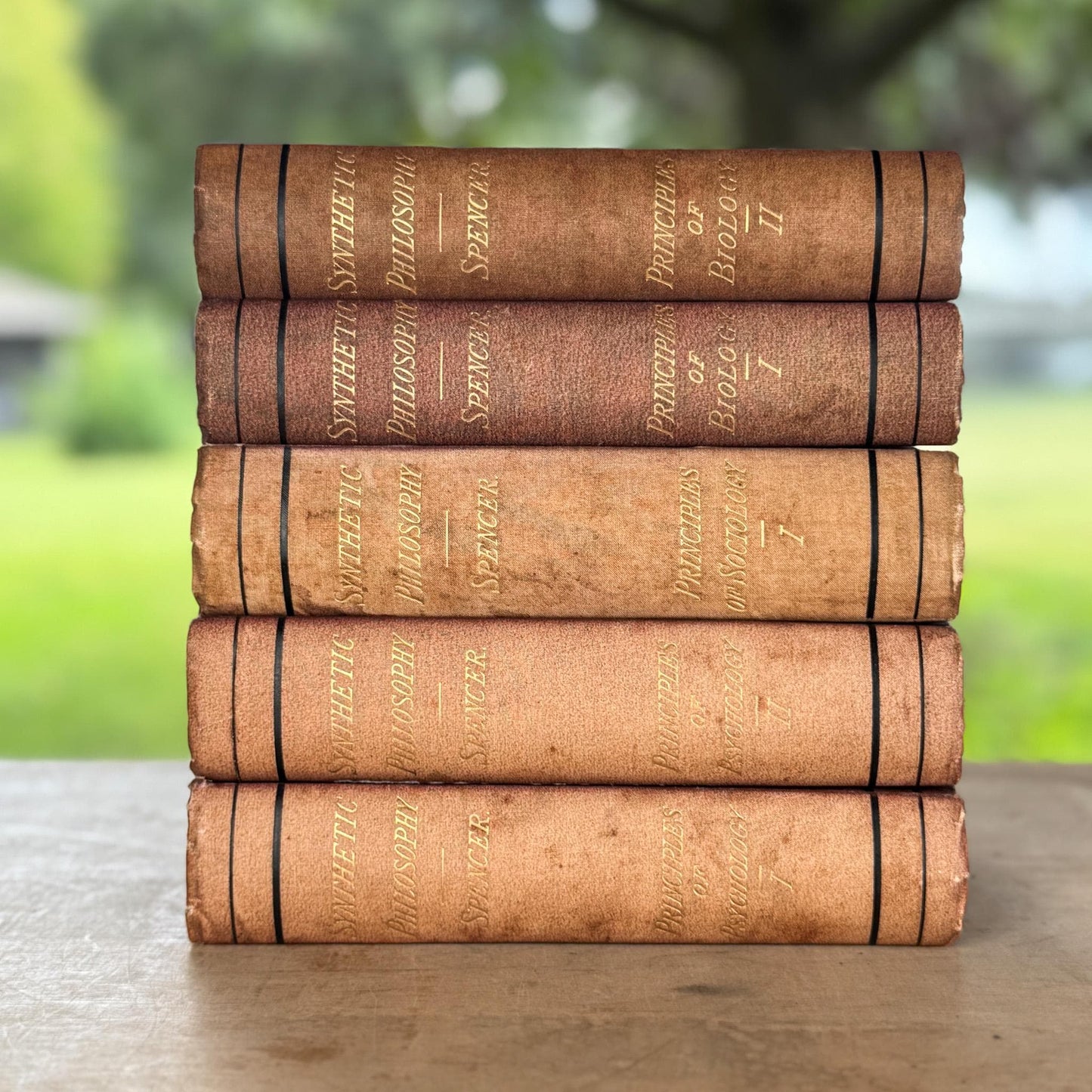 Antique Neutral Academic Books, Spencer's Synthetic Philosophy, 1882