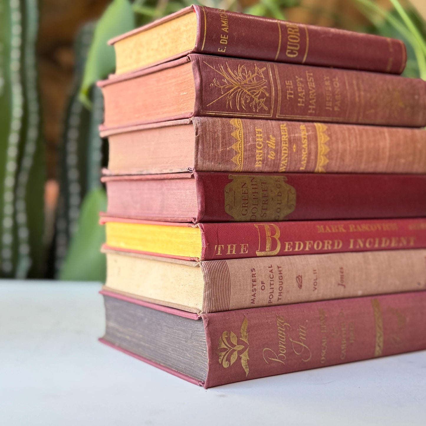 Mauve Pink Burgundy Vintage Book Bundle for Shelf Styling and Decor