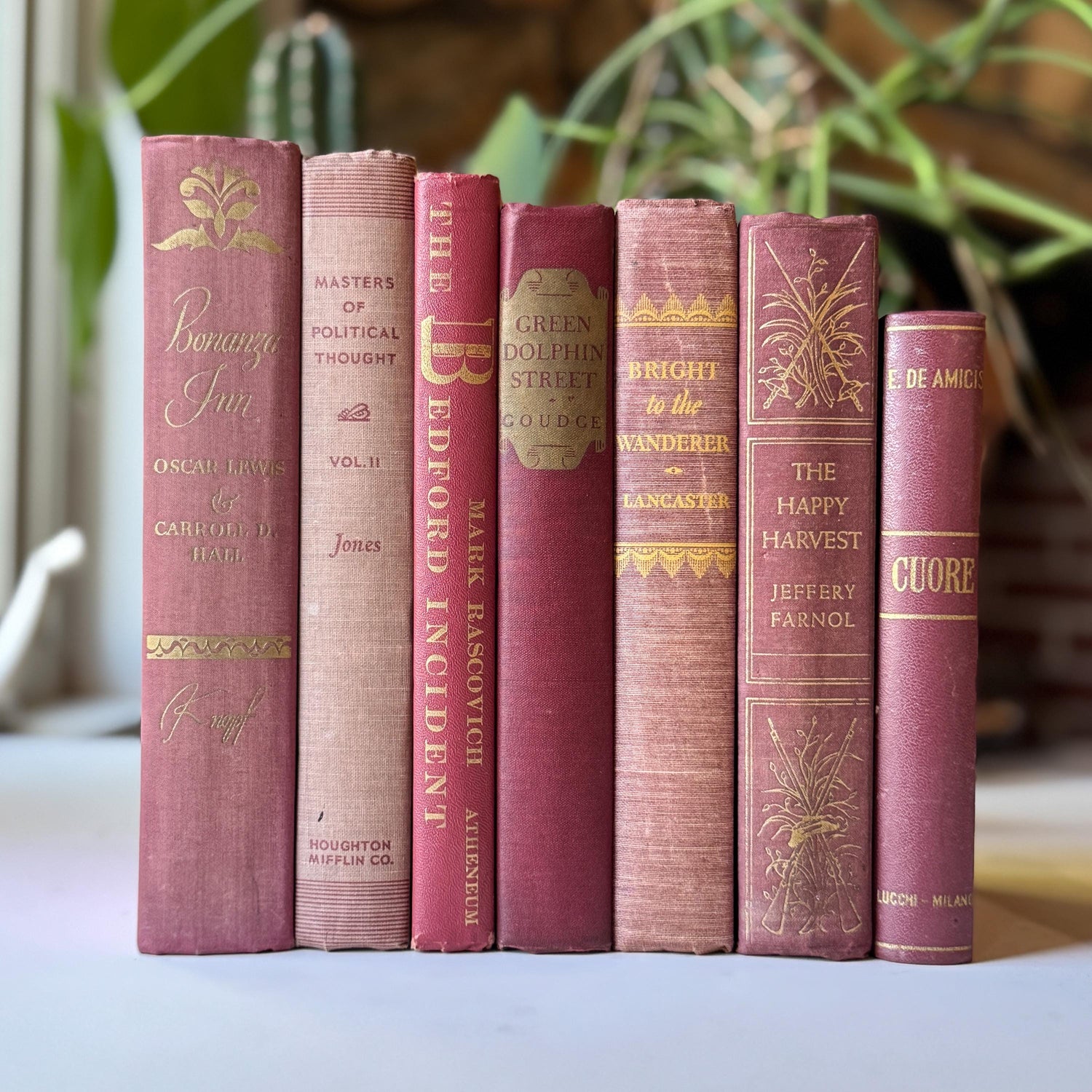 Mauve Pink Burgundy Vintage Book Bundle for Shelf Styling and Decor
