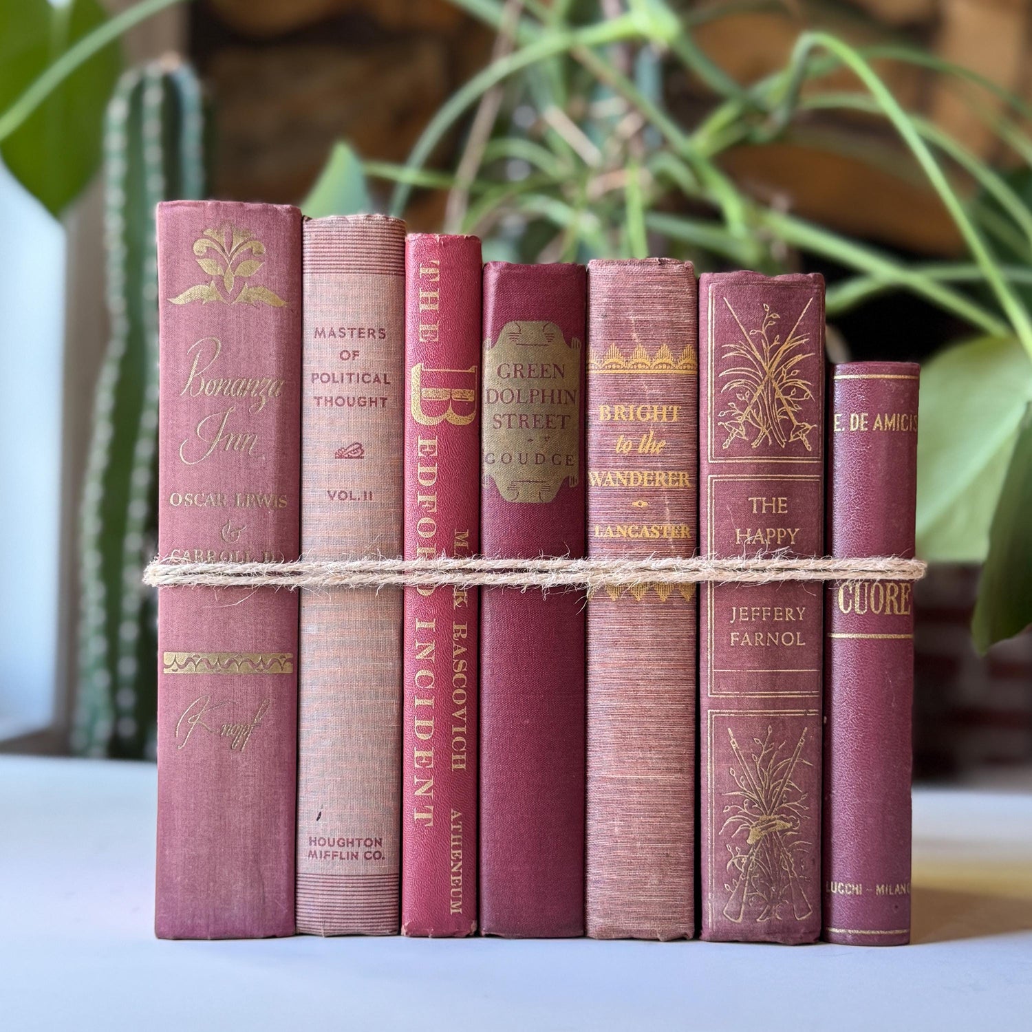 Mauve Pink Burgundy Vintage Book Bundle for Shelf Styling and Decor
