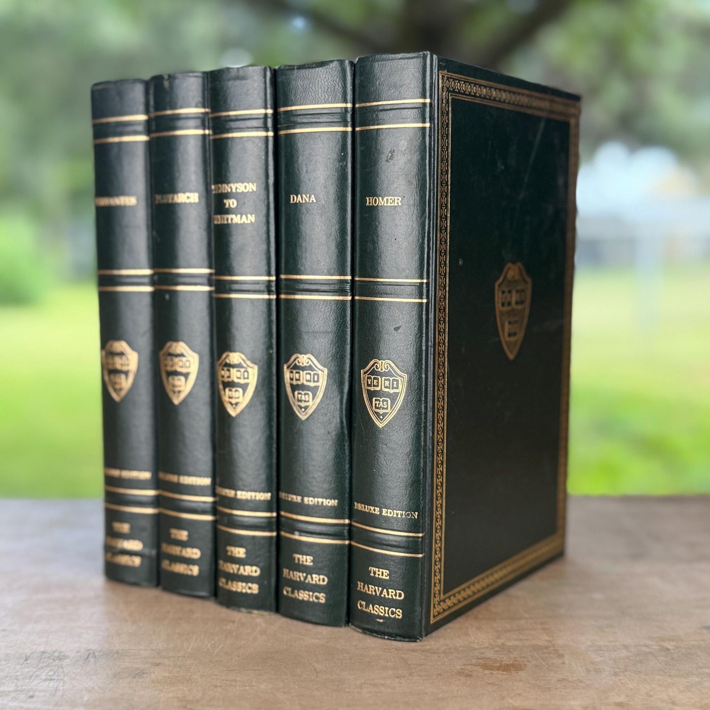 The Harvard Classics, Bookshelf Decor, Green Vintage Decorative Books For Home Decor