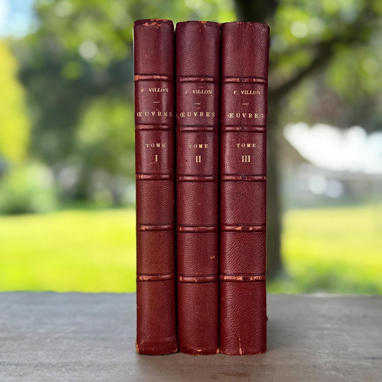 Antique Red Leather-Bound Books, Francois Villon Oeuvres, 3 Volumes (1,2,3), 1923