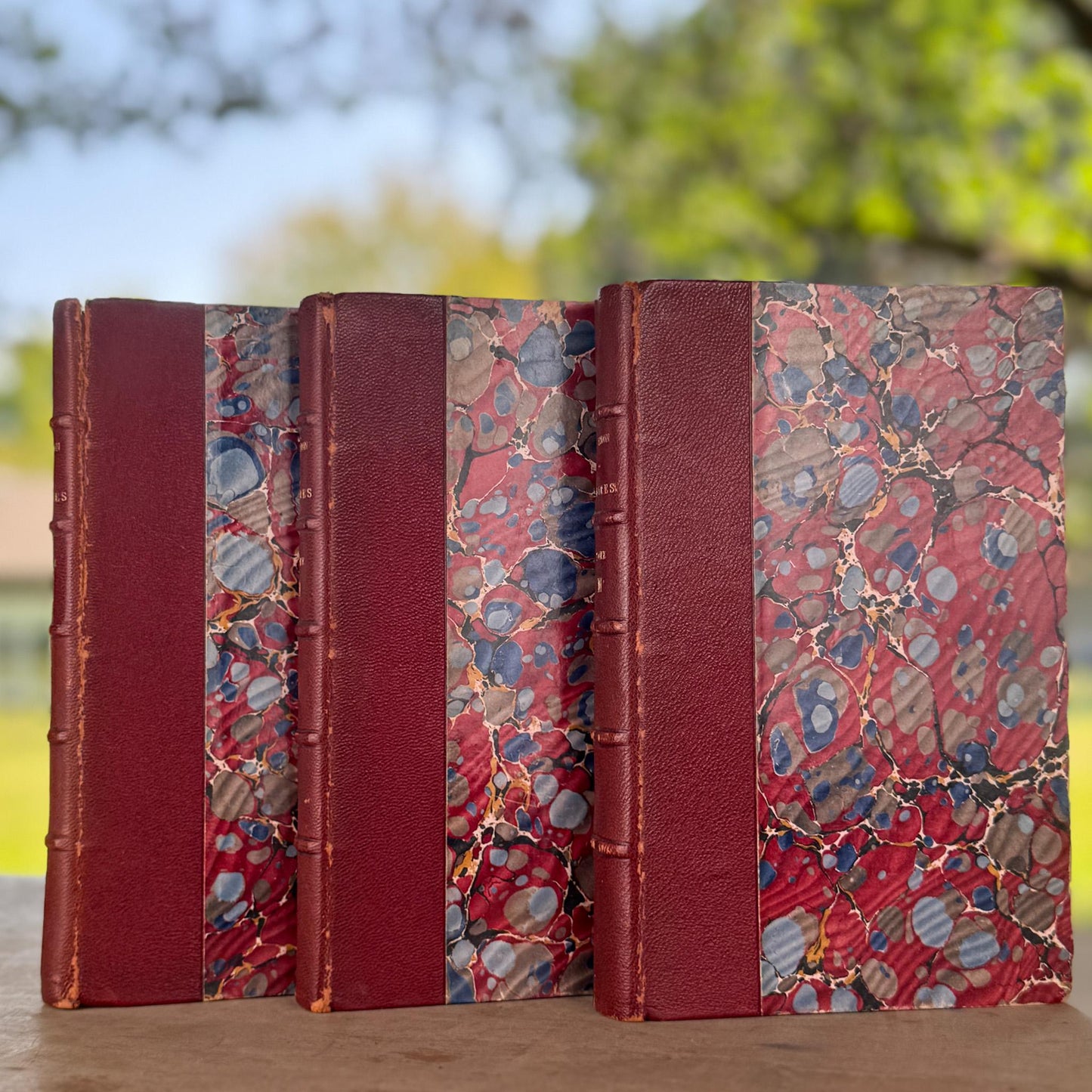 Antique Red Leather-Bound Books, Francois Villon Oeuvres, 3 Volumes (1,2,3), 1923