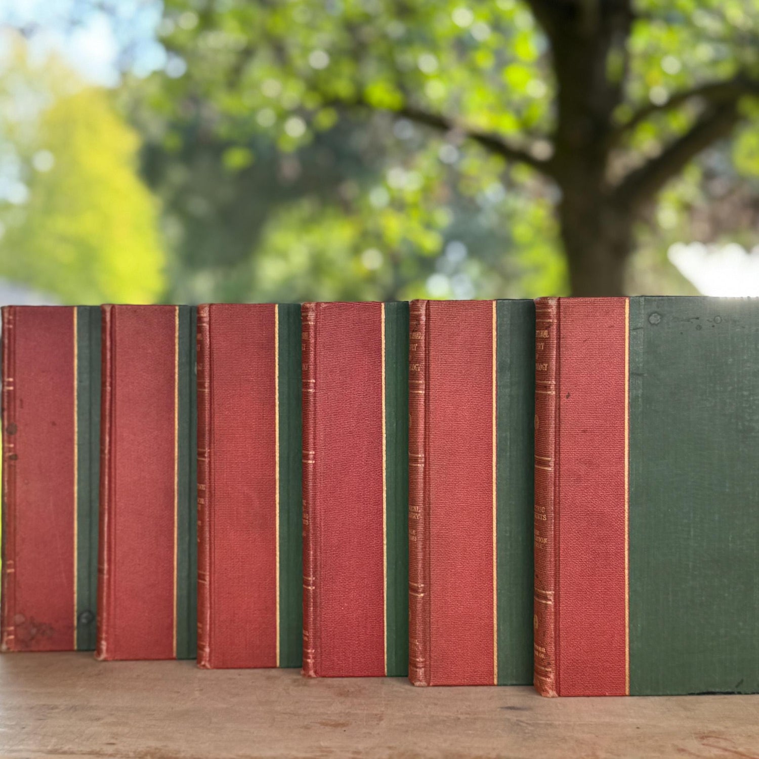 International Library of Technology Antique Red Book Set from 1927
