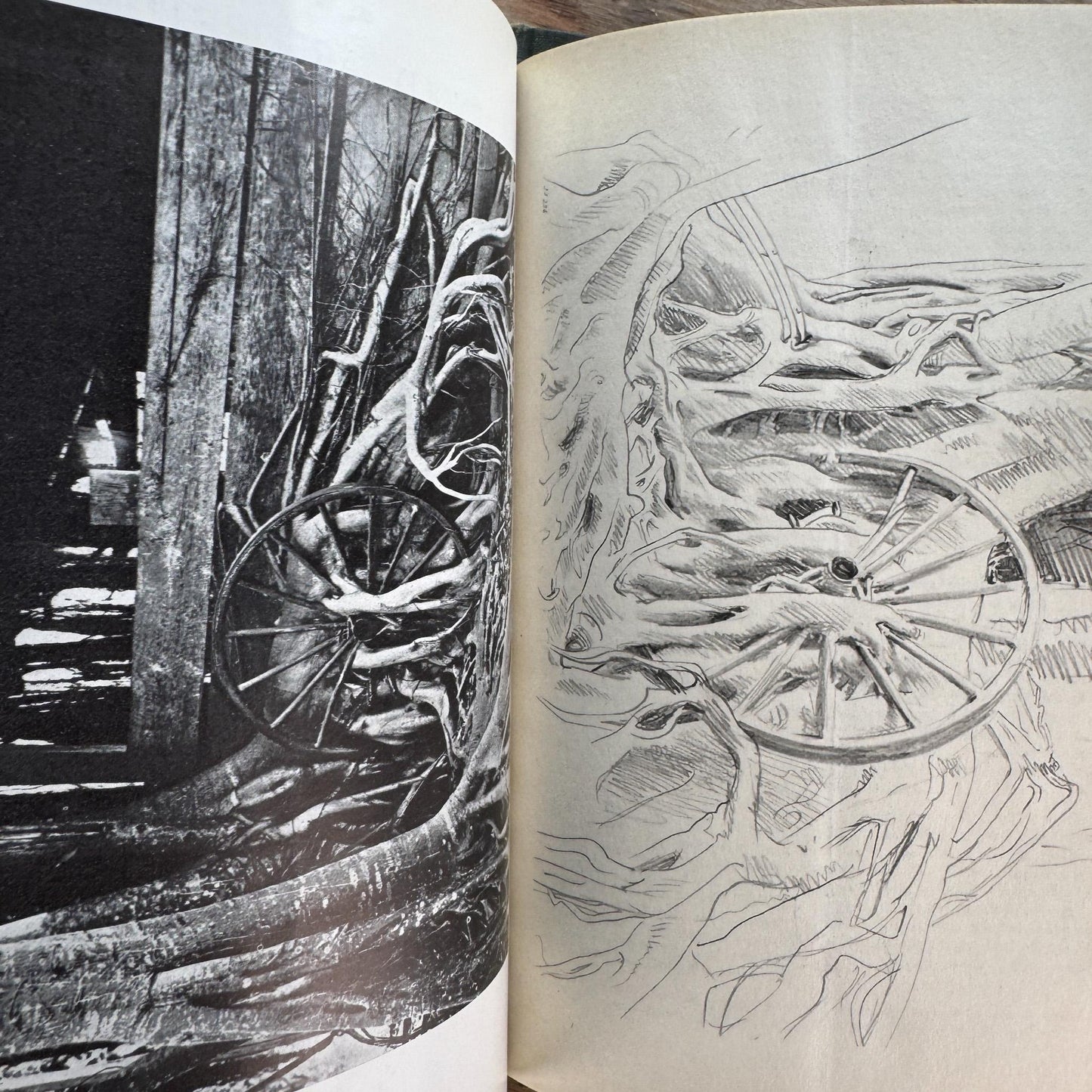 Arnold Arboretum, Harvard University 21 volumes