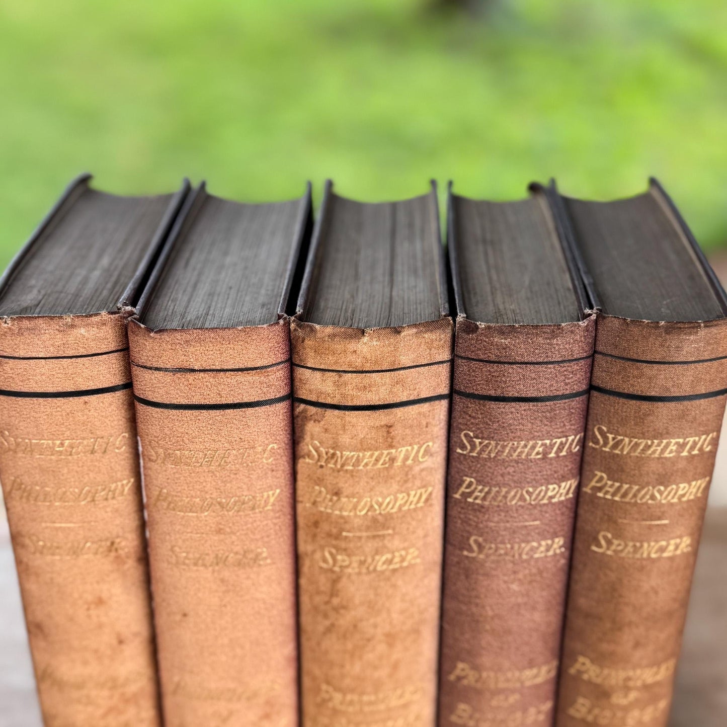 Antique Neutral Academic Books, Spencer's Synthetic Philosophy, 1882