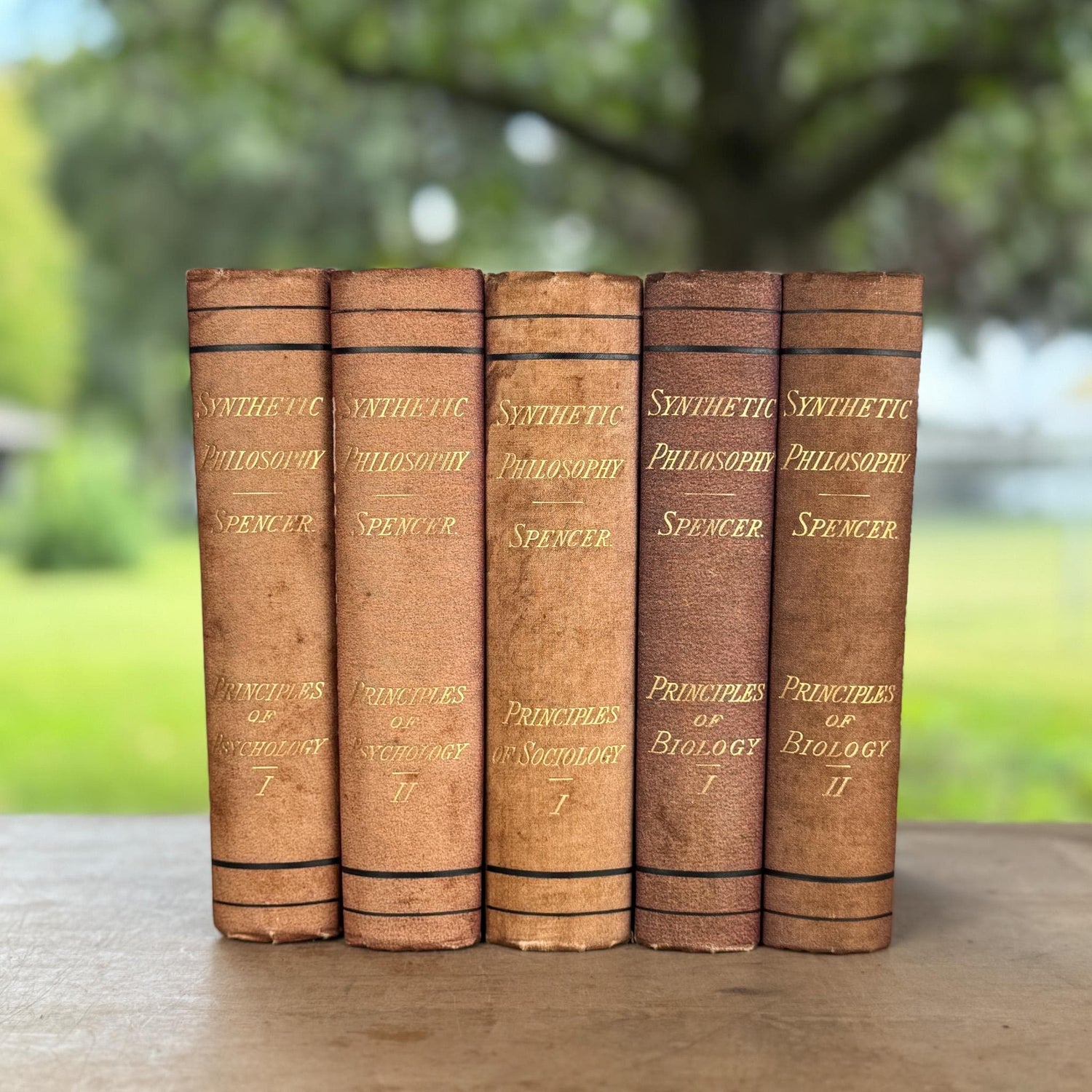 Antique Neutral Academic Books, Spencer's Synthetic Philosophy, 1882