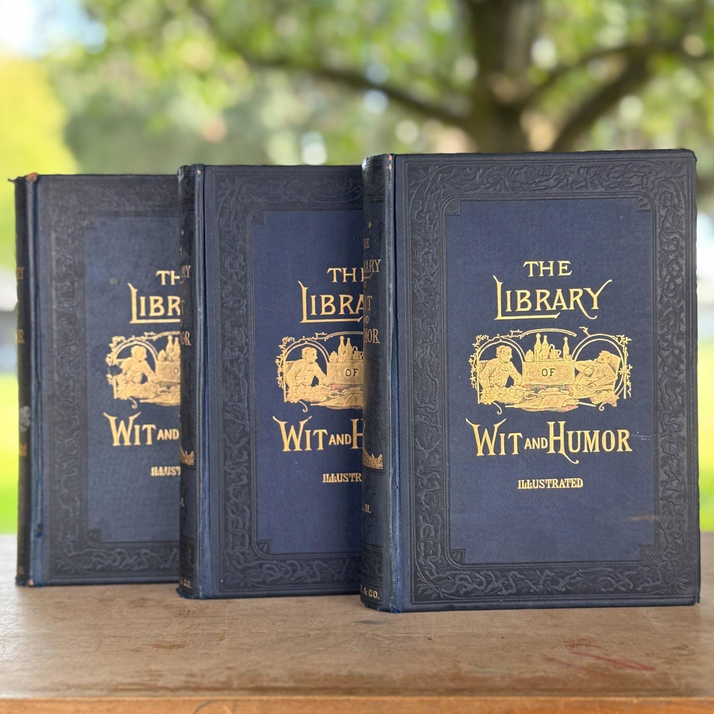 Antique Blue and Gold Ornate Books, The Library of Wit and Humor, 1893
