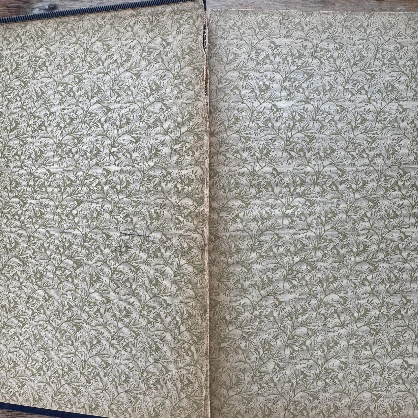 Antique Blue and Gold Ornate Books, The Library of Wit and Humor, 1893
