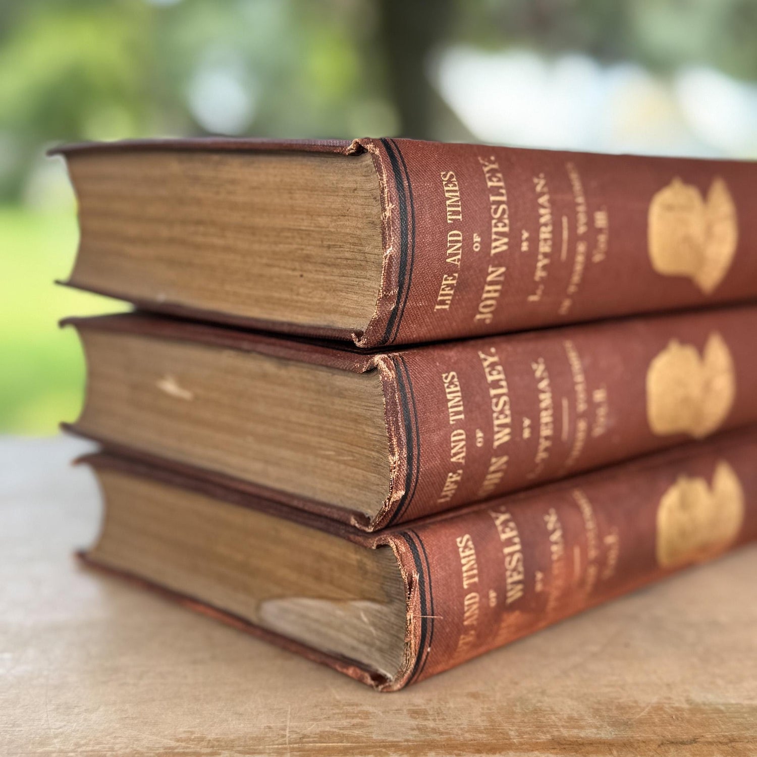 Antique Ornate Book Set, The Life and Times of John Wesley 3 Volume Set 1872 Tyerman